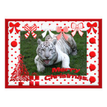 c-2011-white-tiger-011 invitations