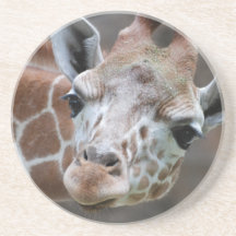 Caboteur adorable de girafe dessous de verres