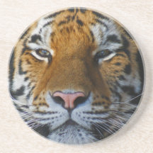 Caboteur de tigre dessous de verres