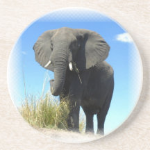 Caboteurs d'éléphant dessous de verres