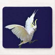 cacatoès tapis de souris