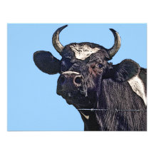 Cadeau de bétail du Holstein Invitation