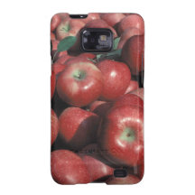 Caisse rouge de coque-compagnon de galaxie de Sams Coque Samsung Galaxy S2