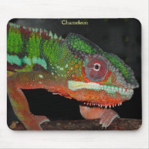Caméléon Mousepad Tapis De Souris