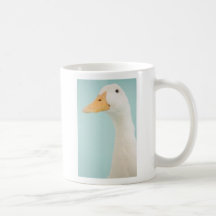 Canard Tasse