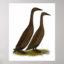Canards de coureur de chocolat affiche
