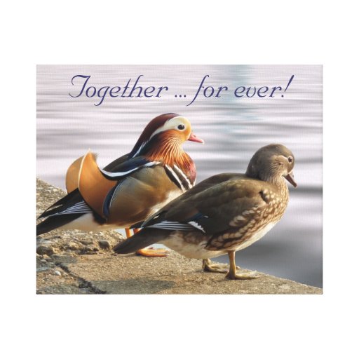 Canards de mandarine impression sur toile