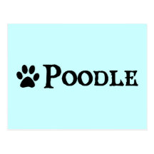 Caniche (style de pirate avec le pawprint) cartes postales
