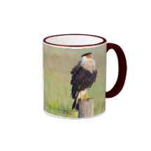 Cara Cara Kaffeetasse