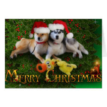Carte de Joyeux Noël de chien