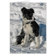 Carte de note de Noël de border collie