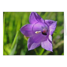 Carte de salutation Glockenblumenkelch : a have ni