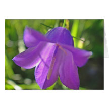 Carte de salutation lilas fleur de cloche : a have