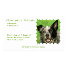 Carte de visite australien de chien de bétail
