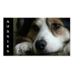 Carte de visite australien d'éleveur de chiens de 