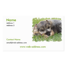 Carte de visite de chien de Schnauzer