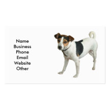 Carte de visite de chien de Terrier