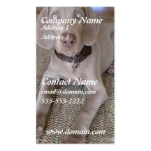 Carte de visite de chien de Weimeraner