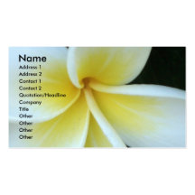 Carte de visite de fleur de Frangipani