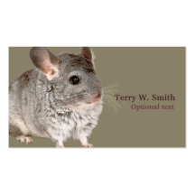 Carte de visite de souris
