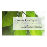 Carte de visite professionnel de massage/spa