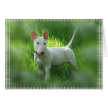 Carte de voeux de bull-terrier