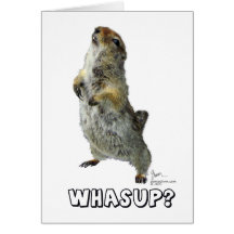 Carte de voeux de Whasup