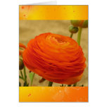 Carte orange de salutation/note de fleur