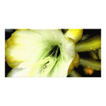 Carte photo de fleur de cactus cartes avec photo
