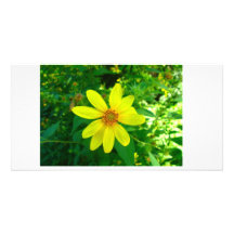 Carte photo de fleur photocarte customisée