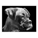 Carte postale de chiot de boxeur