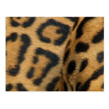 Carte postale de motif de Jaguar