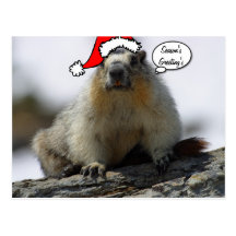 Carte postale d'écureuil de Père Noël de Noël