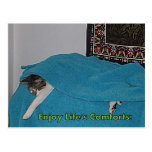 carte postale des conforts de la vie
