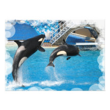 Carte postale d'invitation de baleine