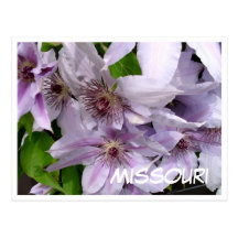 Carte postale du Missouri