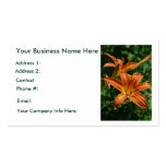 Cartes de visite de Daylily Cartes De Visite Personnelles