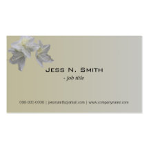 cartes de visite professionnelle de visite simples modèles de cartes de visite