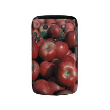 Cas audacieux de coque-compagnon de Blackberry de  Coque Blackberry