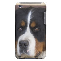 Cas d'iTouch de Berner Sennenhund Étui Barely There iPod