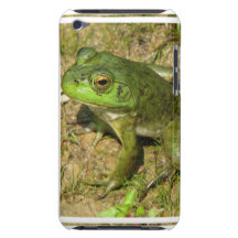 Cas d'iTouch de conception de grenouille Étuis iPod Touch