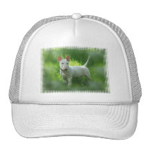 Casquette de baseball de bull-terrier