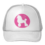Casquette de jupe de caniche