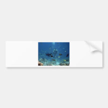 Cebu Diving.jpg Adhésifs Pour Voiture