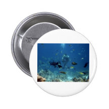 cebu_diving.jpg badge avec épingle