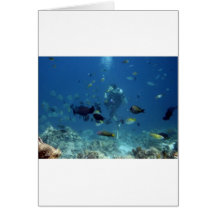 Cebu Diving.jpg Cartes