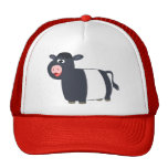Chapeau de vache à Galloway ceinturé par bande des casquettes
