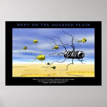 Chasse sur la plaine d'agarose affiches