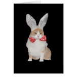 Chat drôle Valentine de lapin Cartes De Vœux