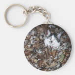 Chat jouant dans le feuille porte-clé